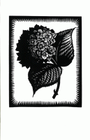 https://mail.deborah-harris.com/files/gimgs/th-24_24_hydrangea.gif