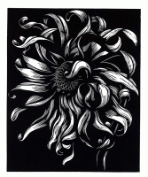 https://mail.deborah-harris.com/files/gimgs/th-24_24_sunflower.gif
